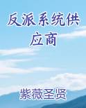 反派系统供应商小说短剧