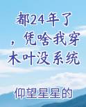都24年了，凭啥我穿木叶没系统