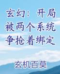 玄幻：开局被两个系统争抢着绑定