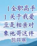［全职高手］关于我爱豆是相亲对象他哥这件事