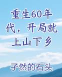 重生60年代,开局就上山下乡的小说