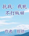 抗战：我就不打坂田原著小说