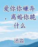 爱你你嫌弃，离婚你跪什么全文阅读
