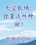天空农场，你管这叫种田？在线阅读小说