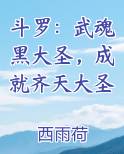斗罗:武魂黑大圣,成就齐天大圣小说