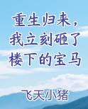 重生归来，我立刻砸了楼下的宝马推荐小说